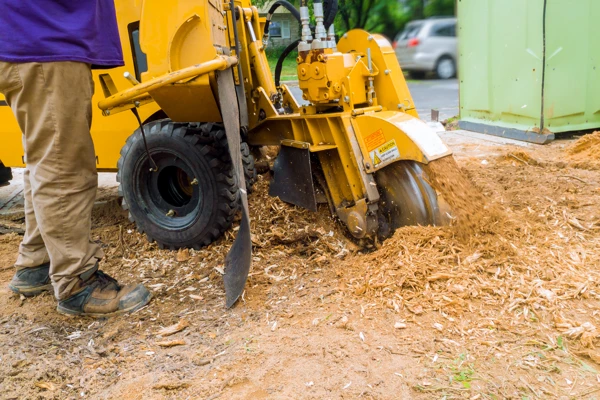 Stump Grinding