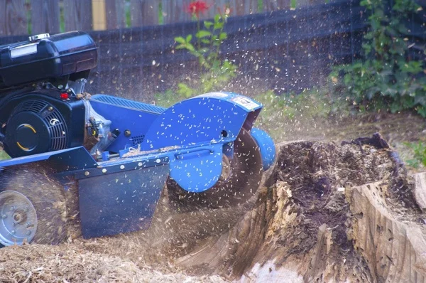 Stump Removal
