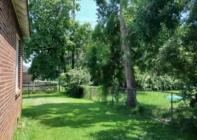 Tree Service
