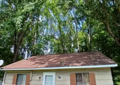 Tree Service