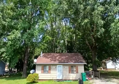 Tree Service
