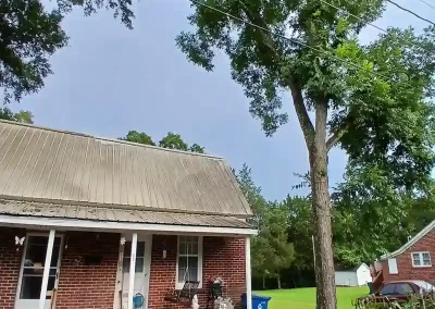 Tree Service