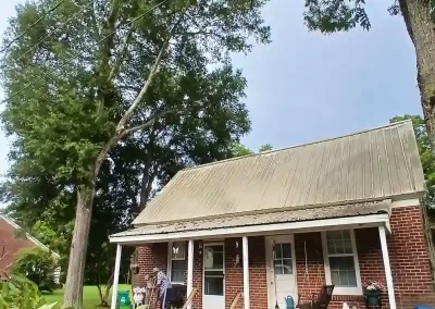 Tree Service