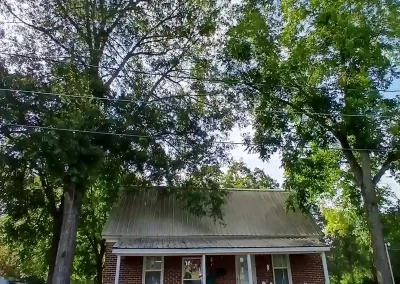 Tree Service