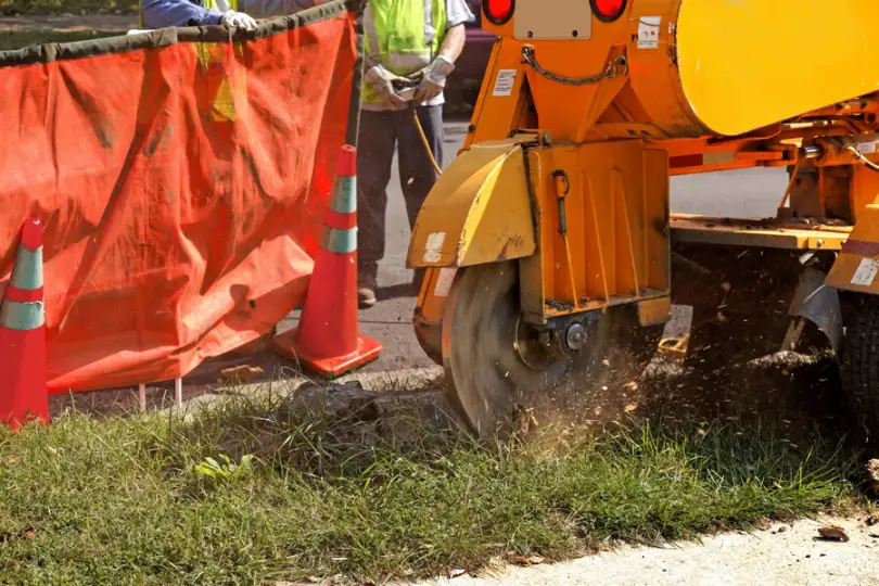 Expert Stump Grinding Troy SC