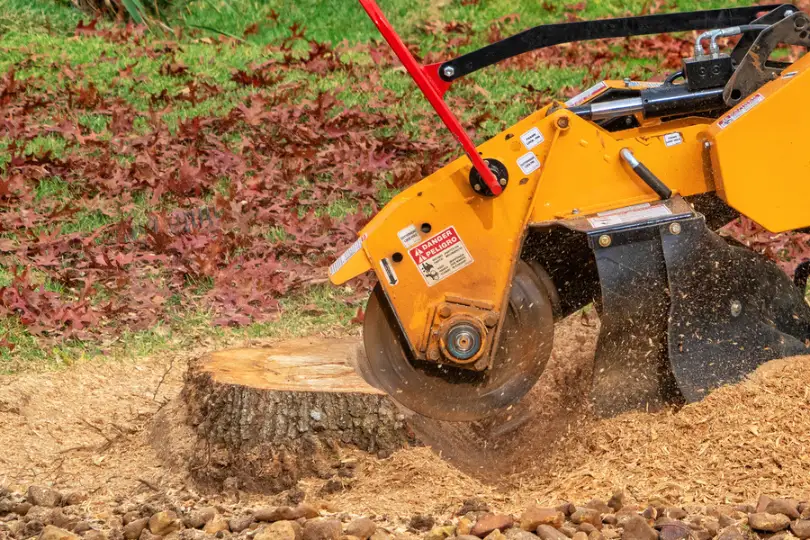 Premium Stump Grinding Troy SC