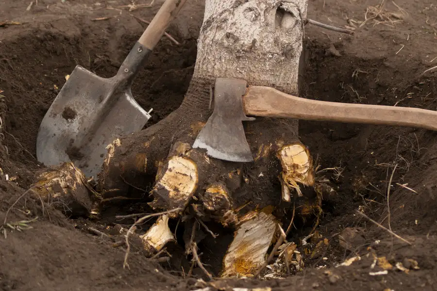 Superior Stump Removal Troy SC