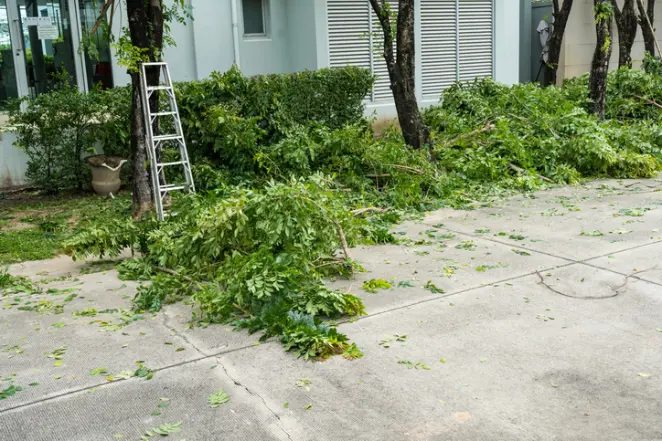 The Risks Of Delaying Tree Removal On Your Property in Troy SC