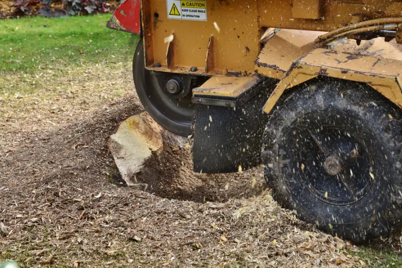 The Safety Benefits Of Professional Stump Grinding Services Troy SC