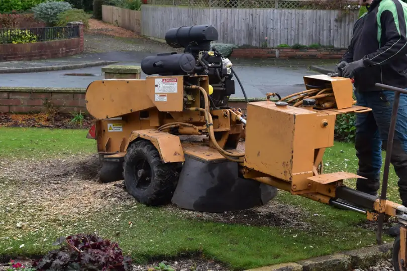 The Safety Benefits Of Professional Stump Grinding Services in Troy SC