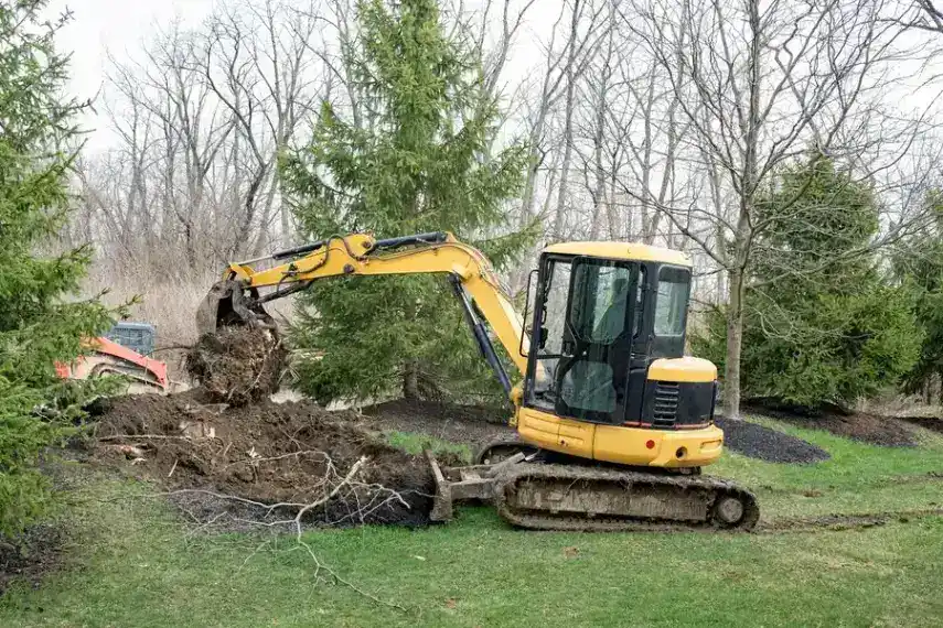 The Step-by-step Process Of Professional Stump Removal Troy SC